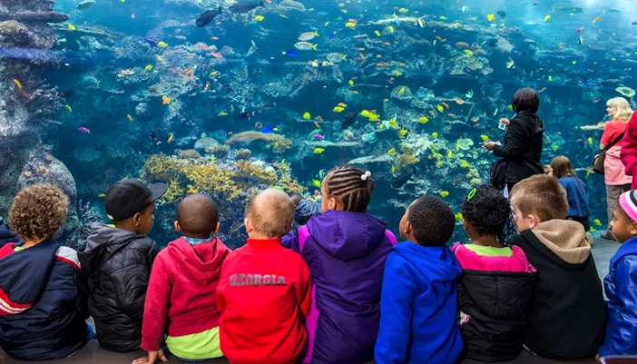 Visitors exploring the Georgia Aquarium in Atlanta, viewing marine life exhibits.