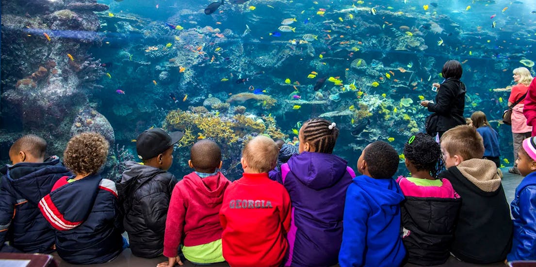 Biglietti per il Georgia Aquarium (acquario della Georgia)
