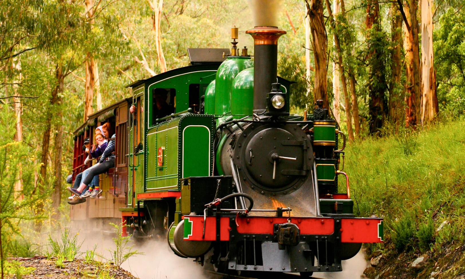 Puffing Billy steam train with passengers' legs dangling travels through forest near Melbourne.