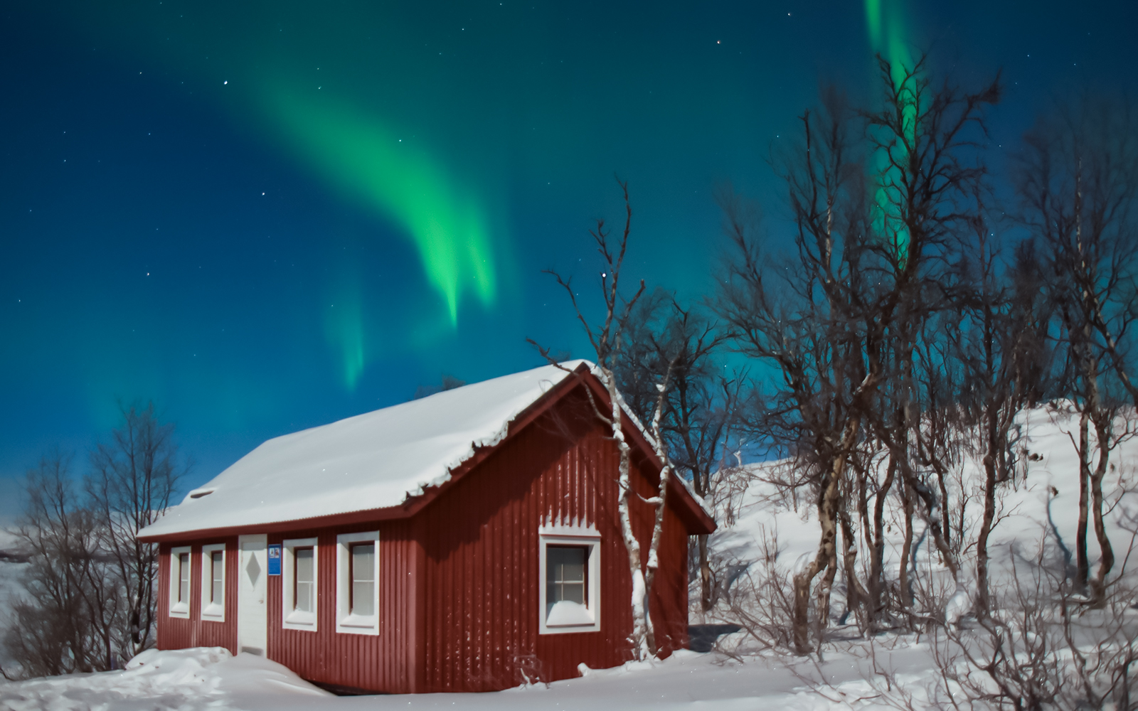 Red cabin under Northern Lights in snowy forest.