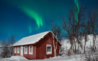 Red cabin under Northern Lights in snowy forest.