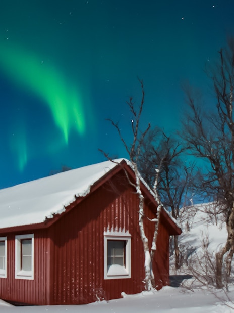 Red cabin under Northern Lights in snowy forest.