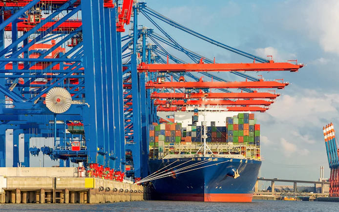 Container ship docked at Hamburg Harbor with cranes, seen on 2-hour boat tour.