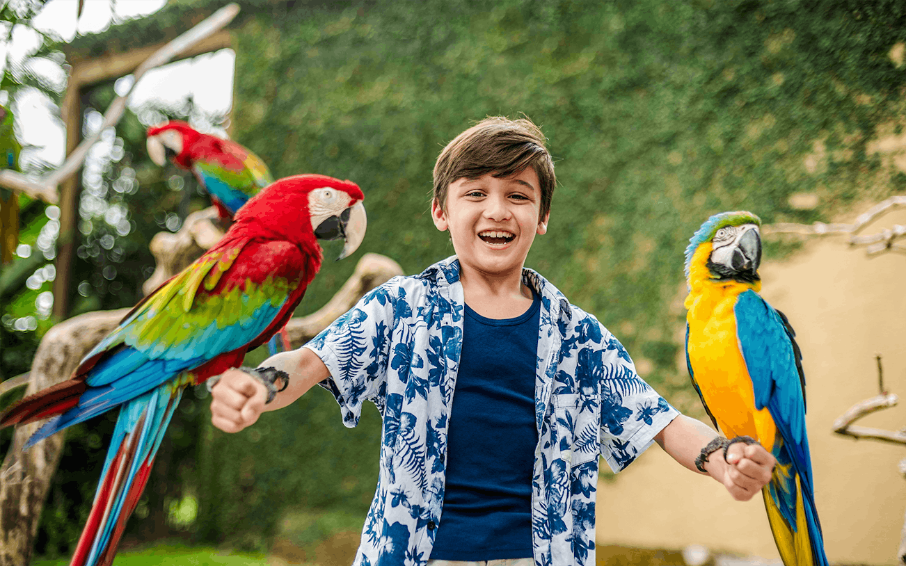 Boy smiling with colorful parrots at Bali Bird Park.