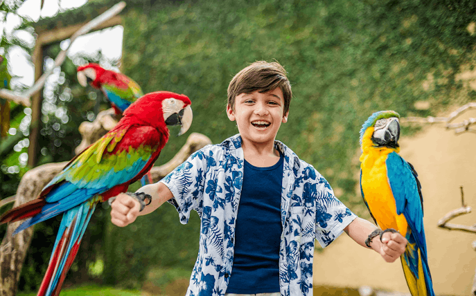 Boy smiling with colorful parrots at Bali Bird Park.