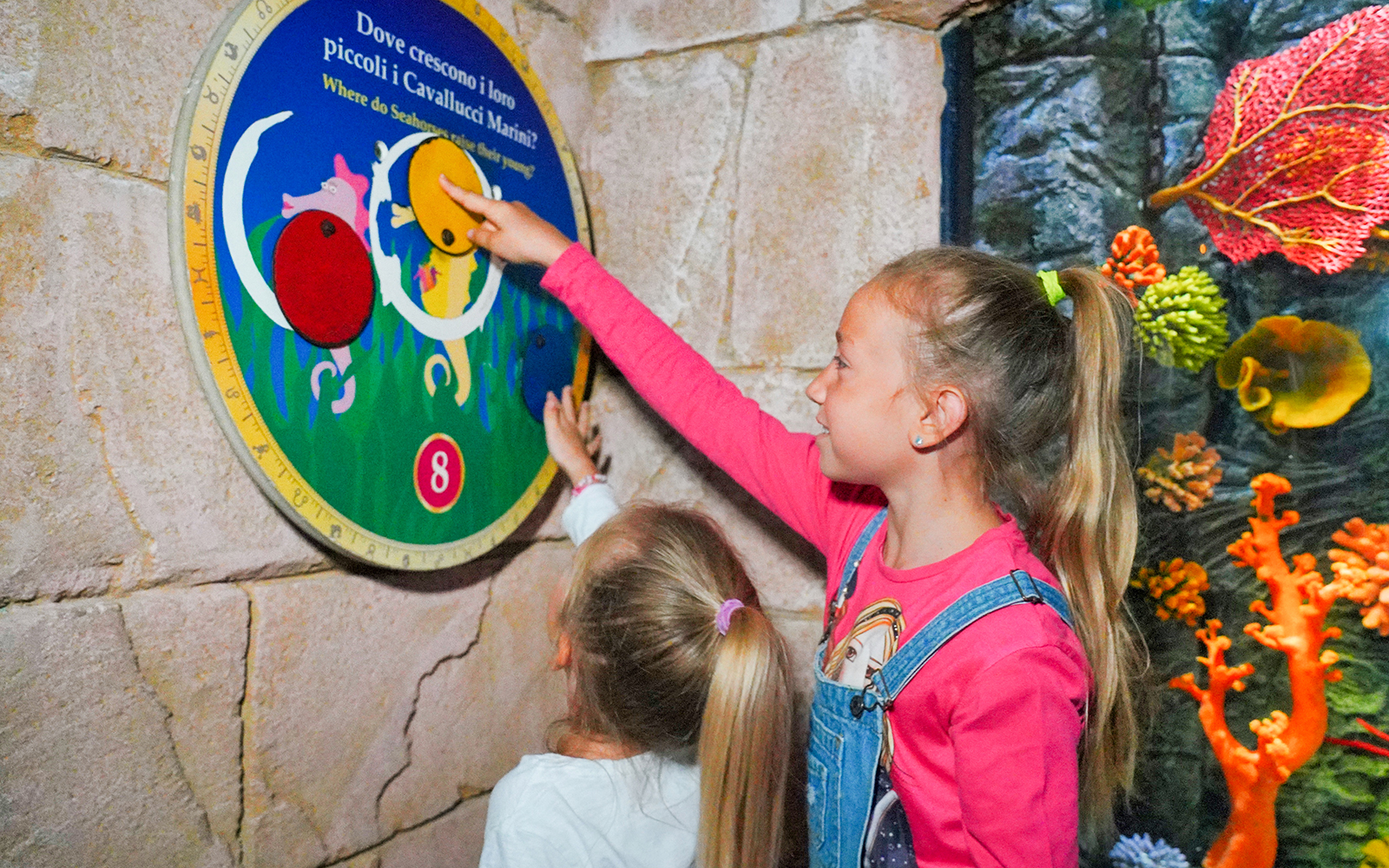 Young girls interacting with seahorse quiz at Sea Life Aquarium, Verona.