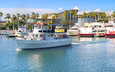 Cruise boat navigating Los Angeles Harbor with palm trees and buildings in the background.