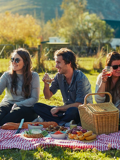 Group enjoying picnic lunch with drinks at Loch Ness.