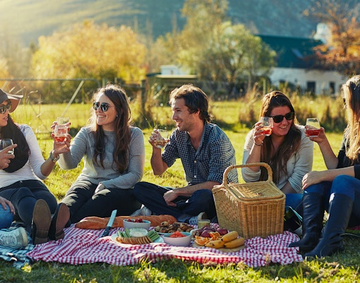Group enjoying picnic lunch with drinks
