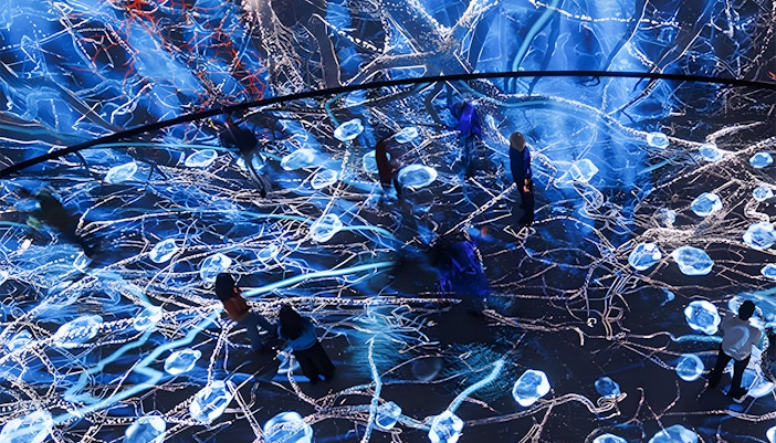 Visitors exploring the Invisible Worlds immersive experience at the American Museum of Natural History.