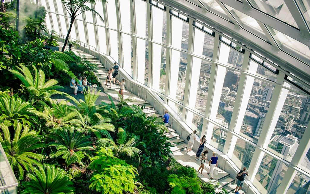 Visitors exploring lush greenery inside Sky Garden, London with city views.