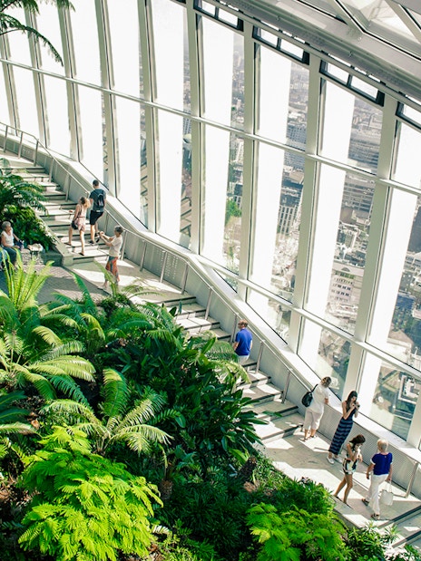 Visitors exploring lush greenery inside Sky Garden, London with city views.