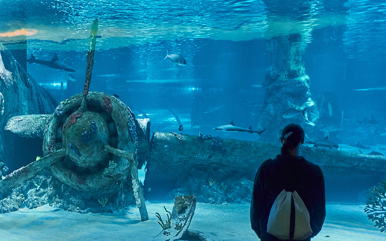 How to Reach the Antalya Aquarium?