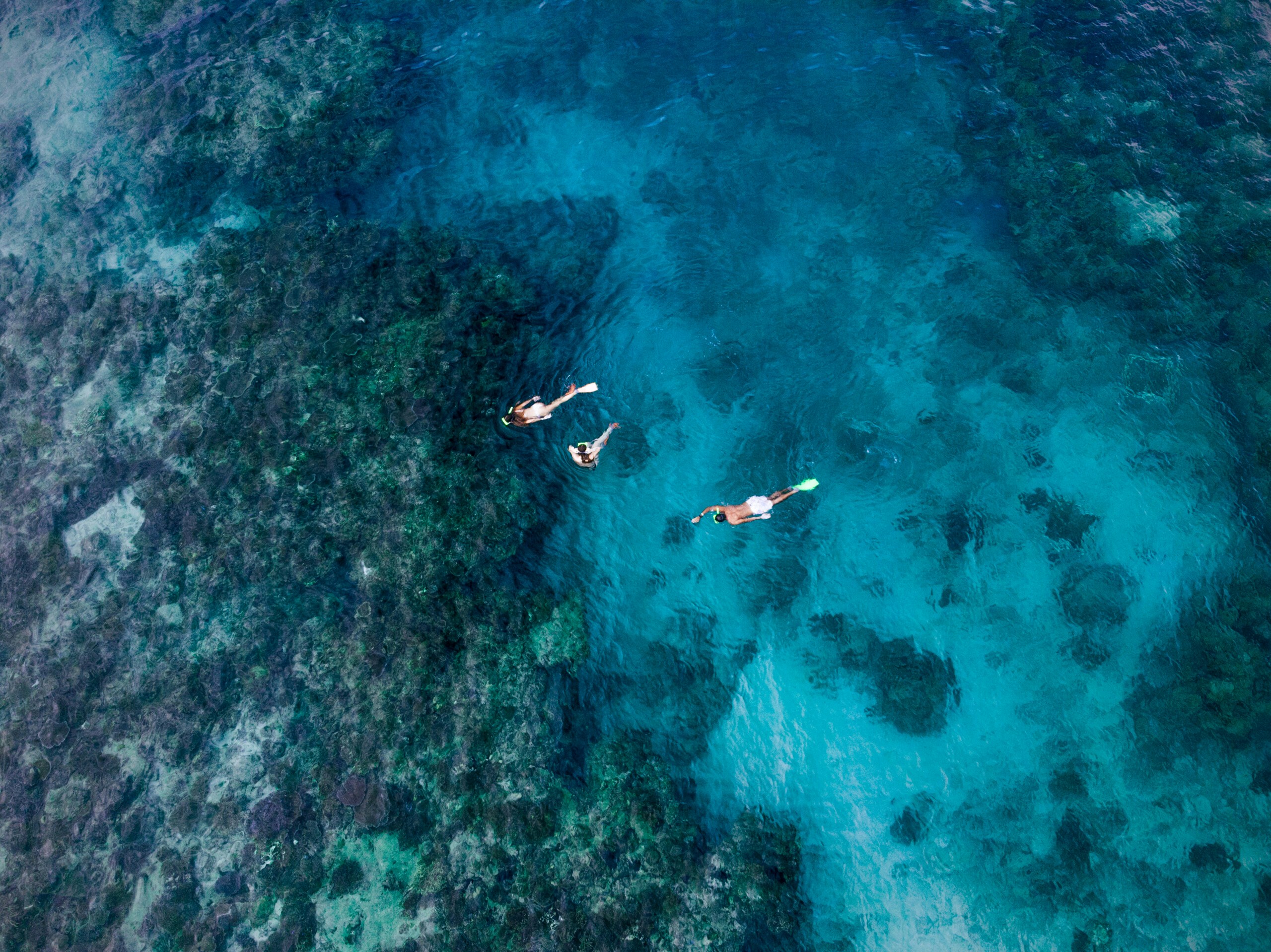 Aerial view of snorkelers exploring coral reefs, South Sea Cats, Fiji.