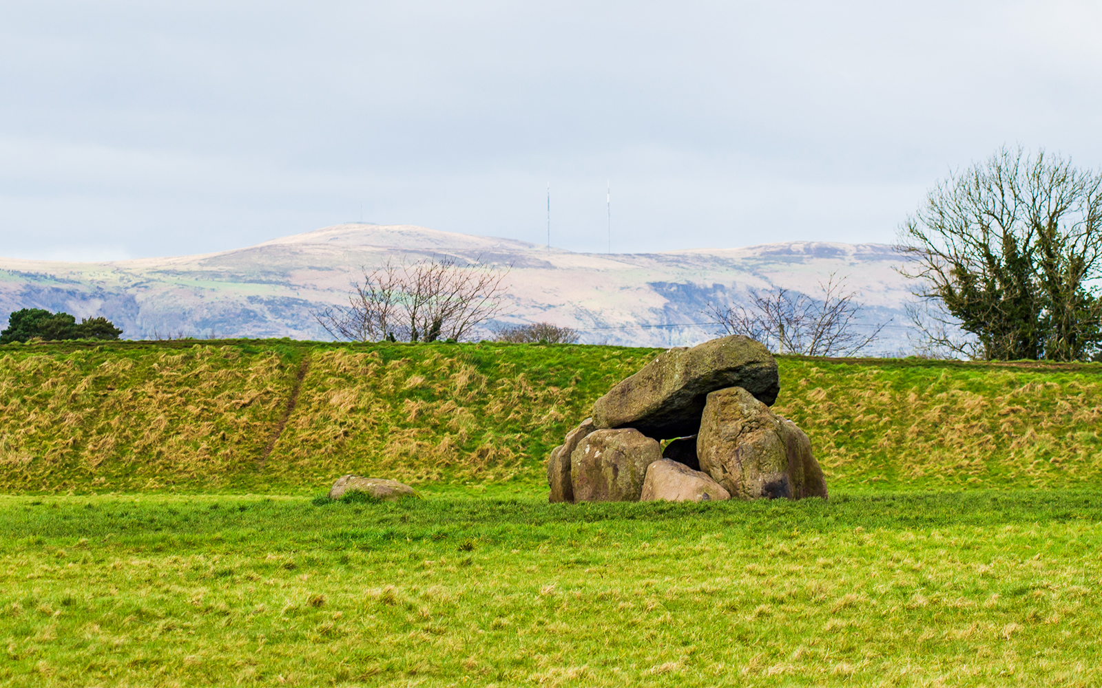 Neolithic dolmen at Giant's Ring, Belfast, surrounded by lush greenery.
