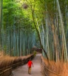 Arashiyama Bamboo Grove