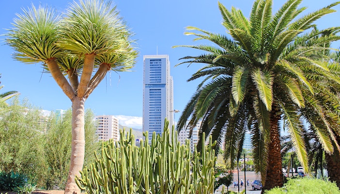 Palmetum Botanical Gardens Tenerife with diverse plants and city skyline in the background.