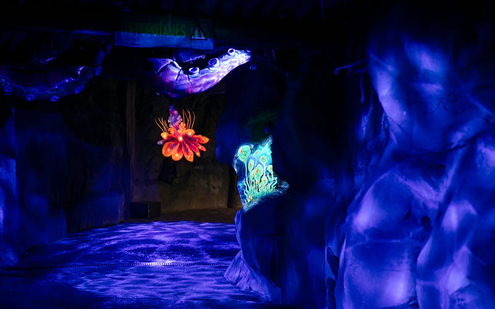 Glowing Halloween decorations in a dark cave at ZooParc de Beauval.