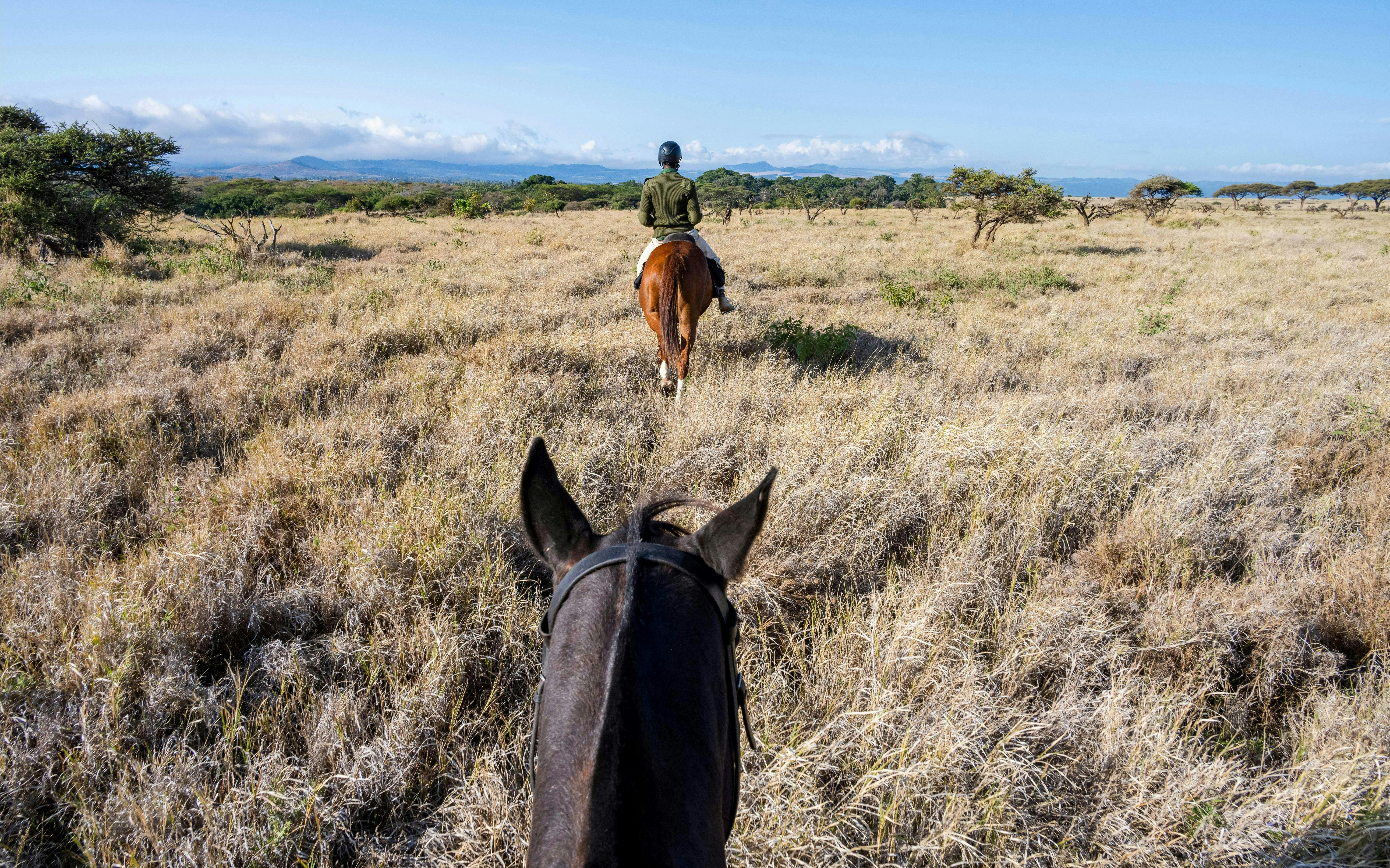 View from horseback, guide on horse leading safari ride across dry grass savanna