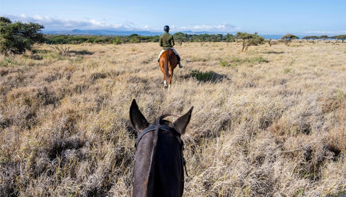 View from horseback, guide on horse leading safari ride across dry grass savanna