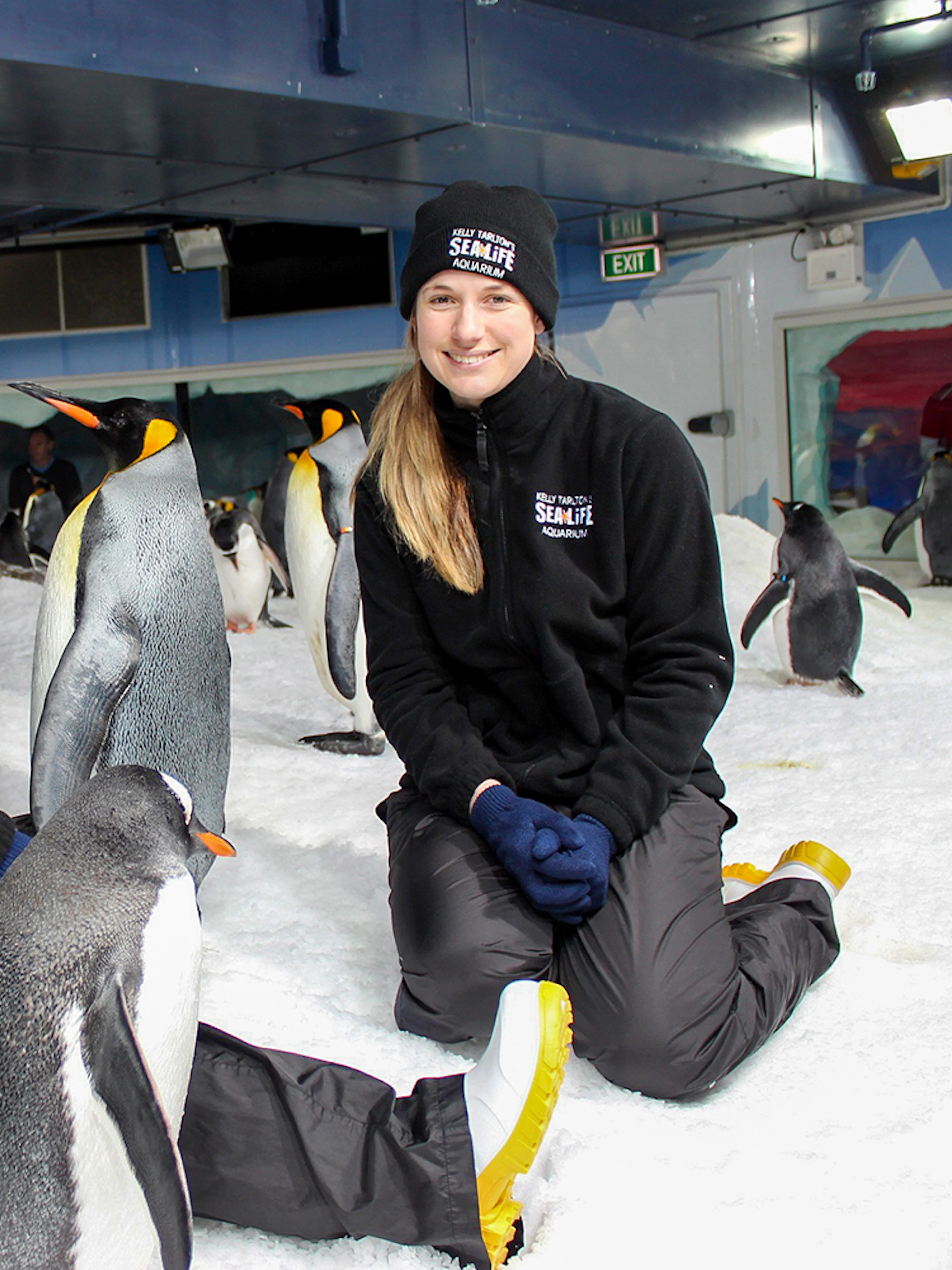 Tourists interacting with penguins at SEA LIFE Kelly Tarlton's Aquarium.