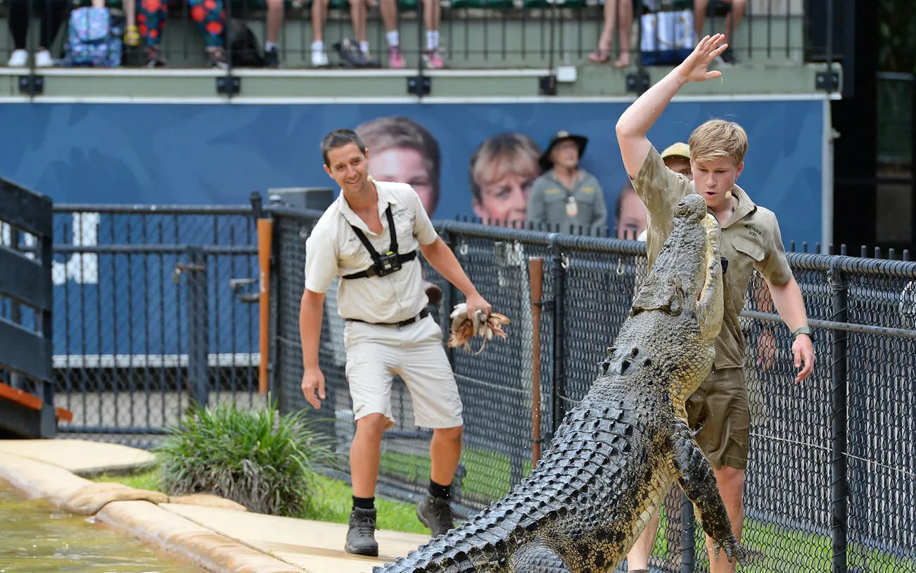 fra gold coast: adgang til australia zoo med hotelltransport tur/retur-1