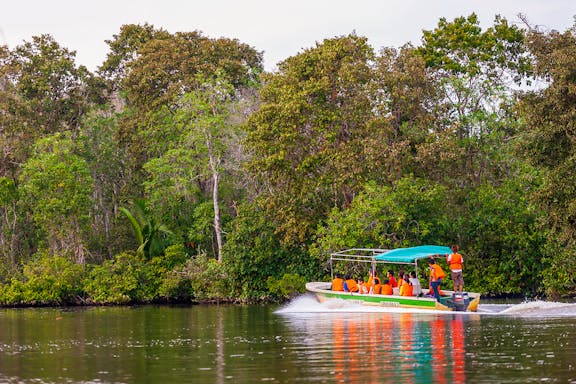 full-day tour of weston wetland with fireflies, safari & sunset cruise-6