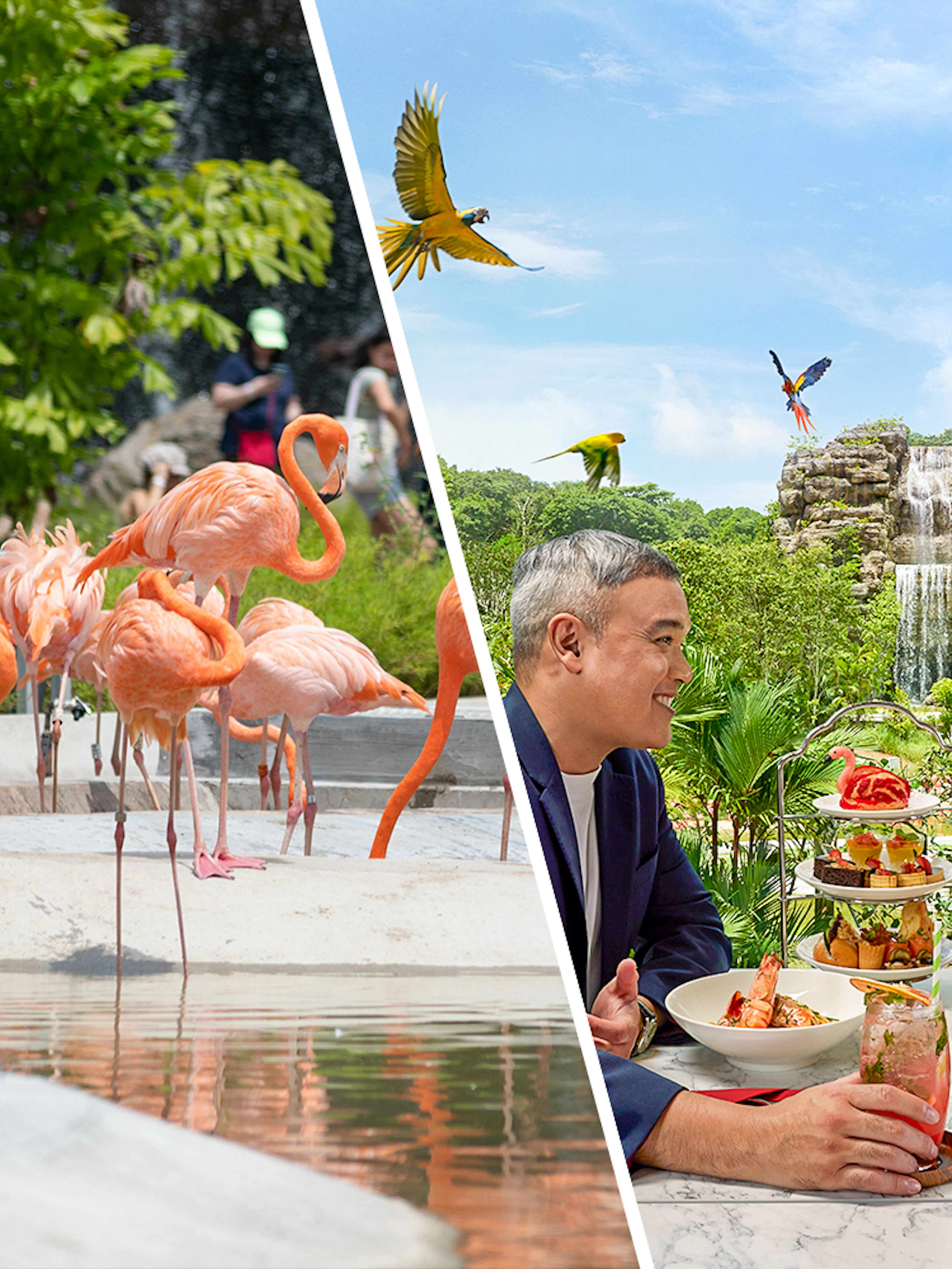 Flamingos at Bird Paradise and couple dining with waterfall view, Combo: Bird Paradise Tickets + Crimson Set Lunch.