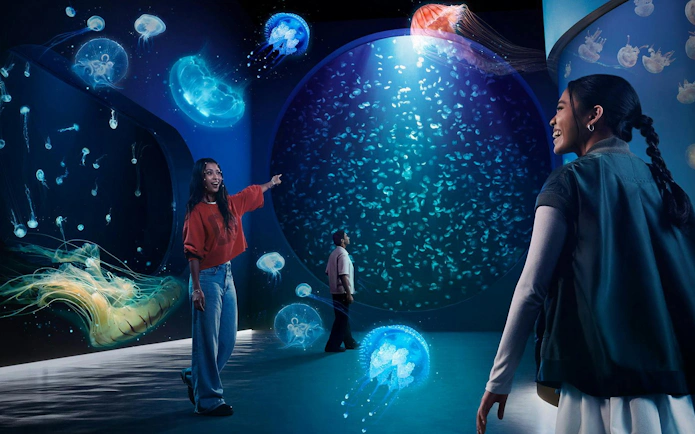 Visitors exploring jellyfish exhibits at Singapore Oceanarium Marine Adventure.
