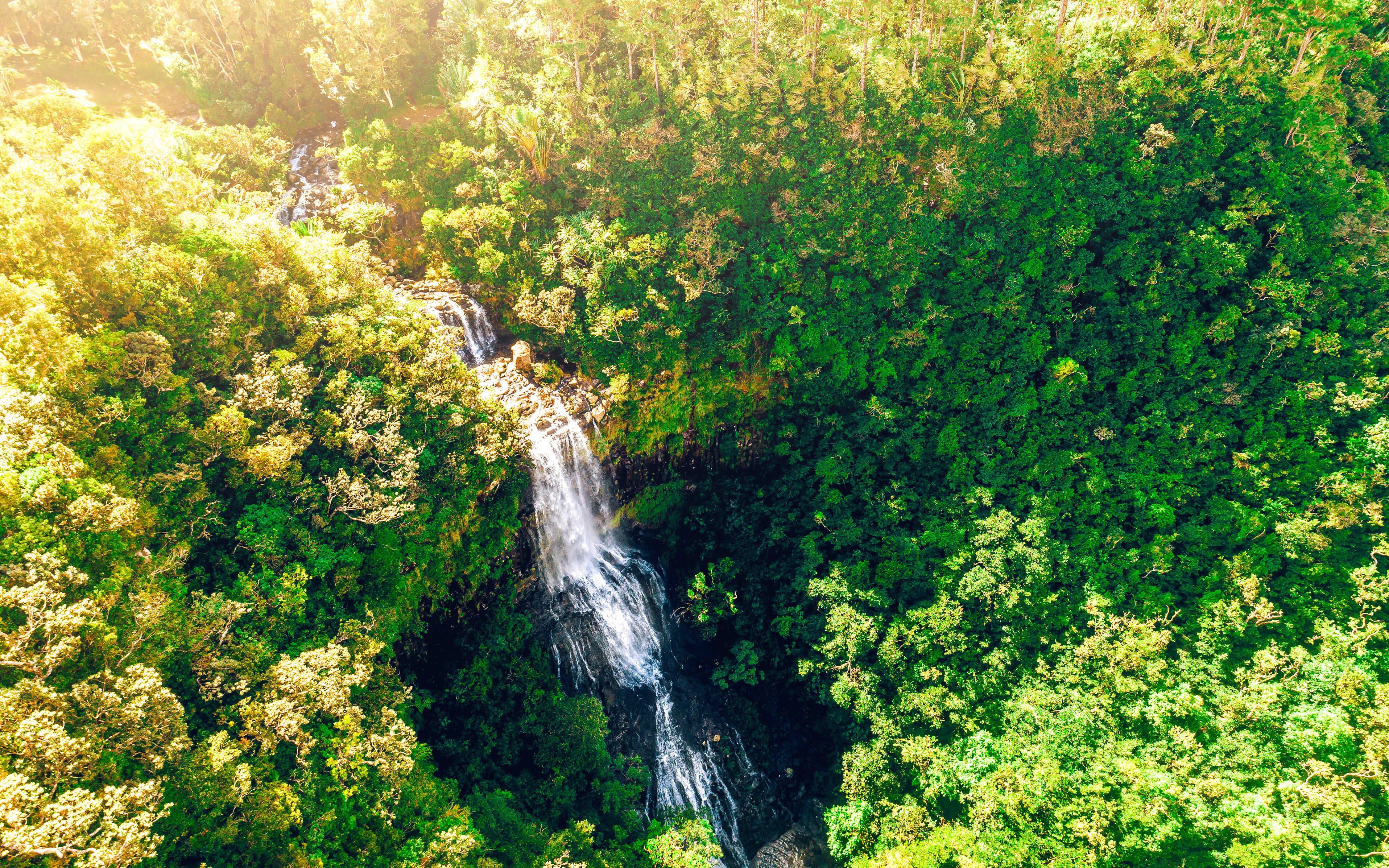 Aerial view of Alexandra Falls cascading through lush forest in Mauritius.