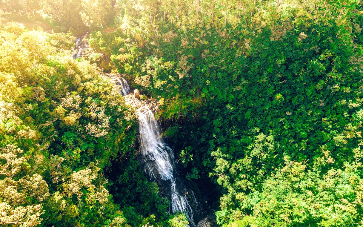 Aerial view of Alexandra Falls cascading through lush forest in Mauritius.