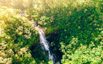 Aerial view of Alexandra Falls cascading through lush forest in Mauritius.