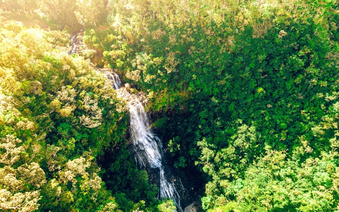 Aerial view of Alexandra Falls cascading through lush forest in Mauritius.