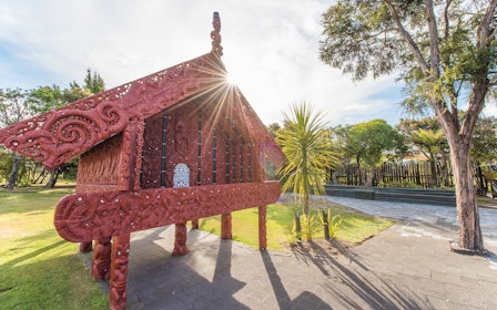 Te Puia: Te Rā Guided Experience
