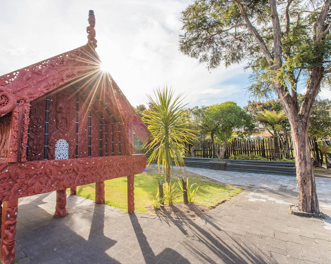 Te Puia: Te Rā Guided Experience