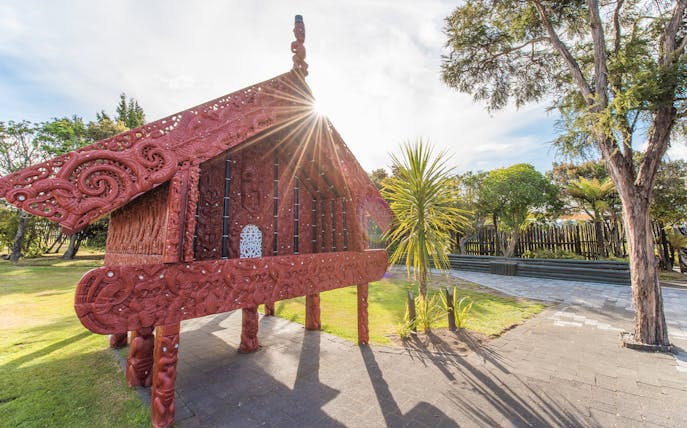 Traditional Māori carving at Te Puia, Rotorua, New Zealand, with sunlight streaming through.