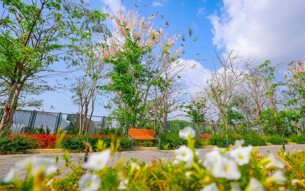 Pathway and bench surrounded by blooming flowers and trees at Flower Land Pattaya.