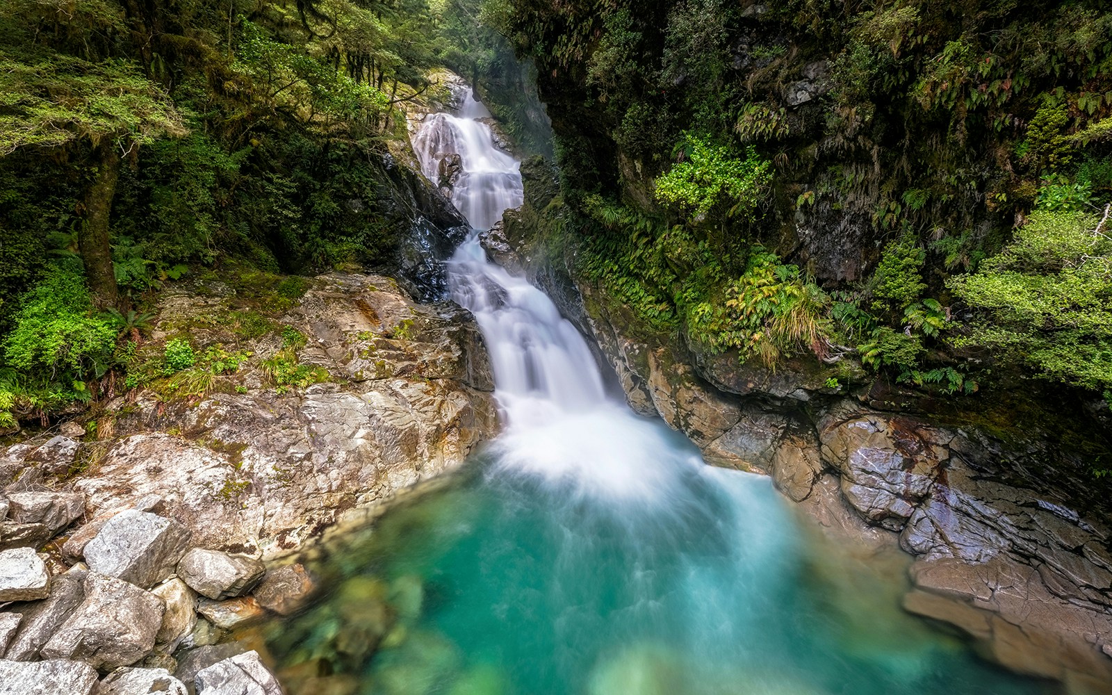 waterfall sighting around milford sound area