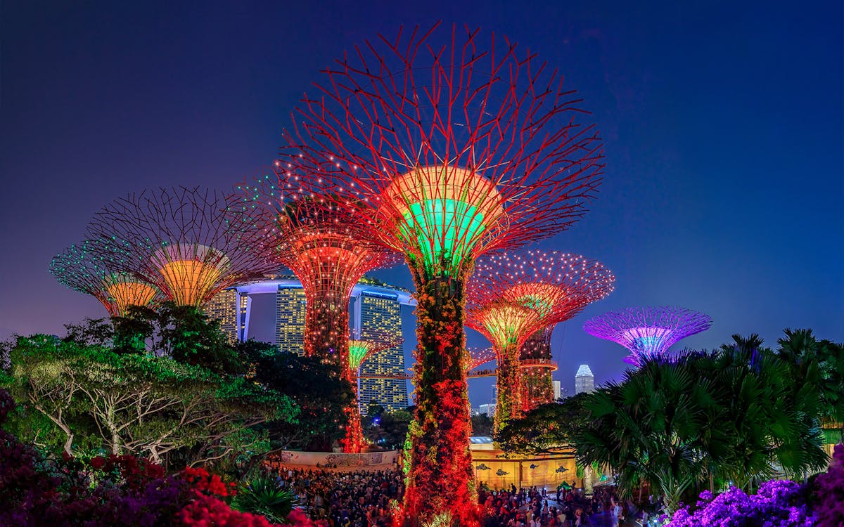 Gardens By The Bay At Night A Dazzling