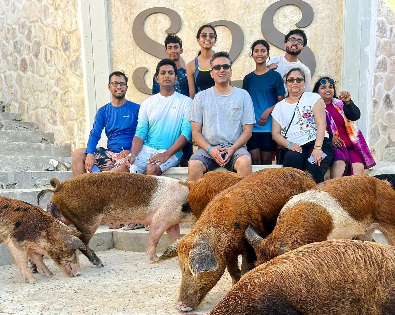 nassau party catamaran cruise to private beach club with snorkeling, pigs & turtles, and lunch-1