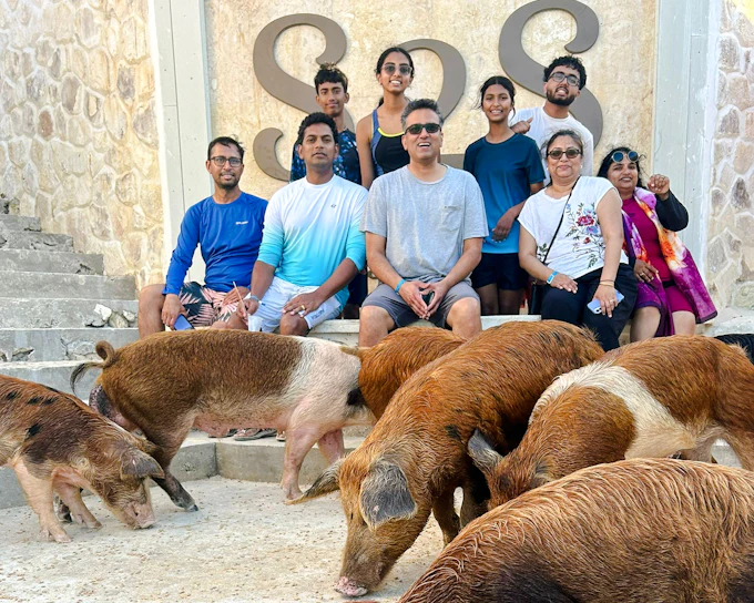 Nassau Party Catamaran Cruise to Private Beach Club with Snorkeling, Pigs & Turtles, and Lunch