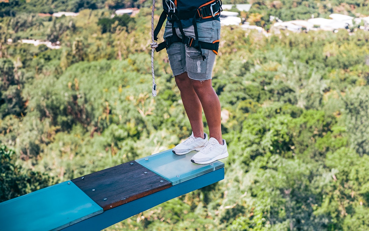 Person standing on Walk The Plank platform by AJ Hackett, wearing safety harness, with forest below.