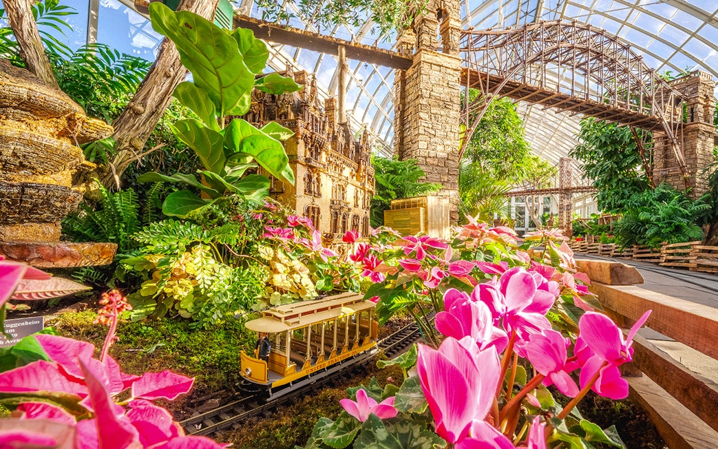 Miniature train passing through vibrant flowers at the Holiday Train Show, New York Botanical Gardens.