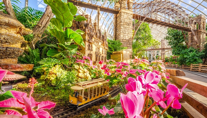 Miniature train passing through vibrant flowers at the Holiday Train Show, New York Botanical Gardens.