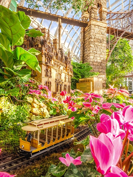 Miniature train passing through vibrant flowers at the Holiday Train Show, New York Botanical Gardens.
