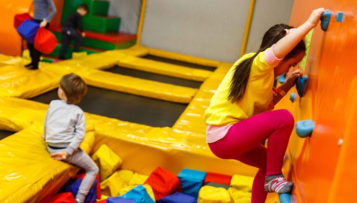 Sprungart Wiener Neustadt