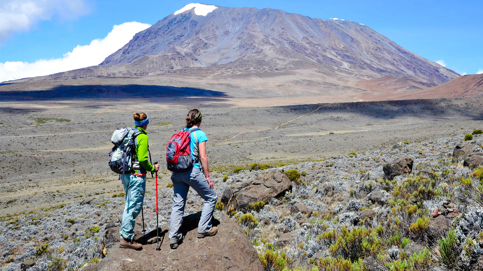 Hikers on Marangu route with Mount Kilimanjaro in the background, Tanzania.