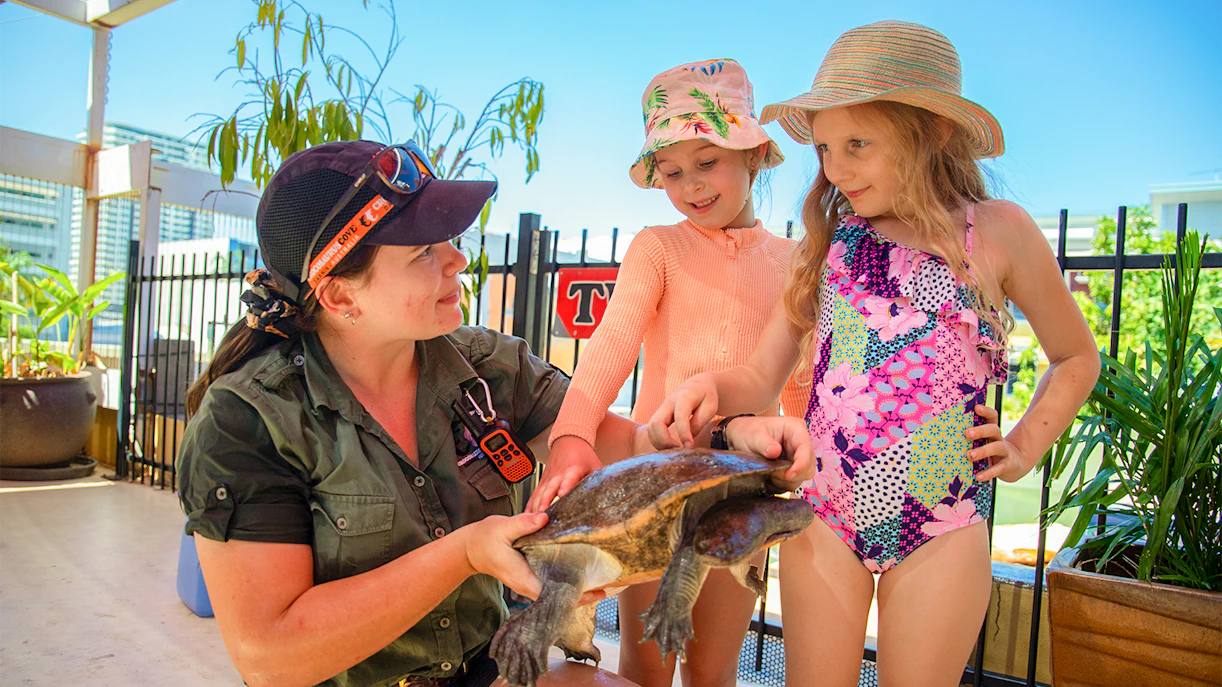 Crocosaurus agent showing a turtle to two children in a sunny outdoor setting.