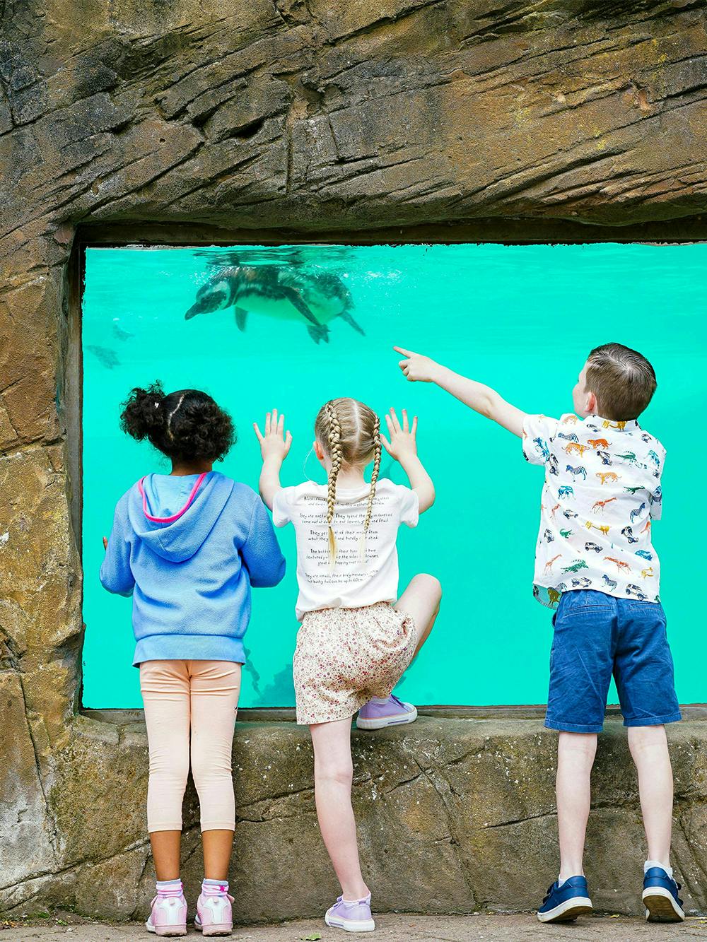 Zoo di Blackpool