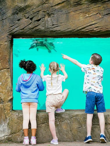 Zoo di Blackpool
